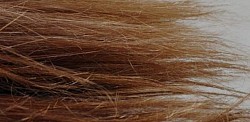 Capelli rovinati